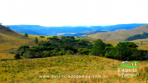 DOS EÓLICOS VIRA P FAZENDA_Moment.00_00_12_11.Quadro327_e599eb734c81d3cc3204f7296fdb50210320c78d.jpg